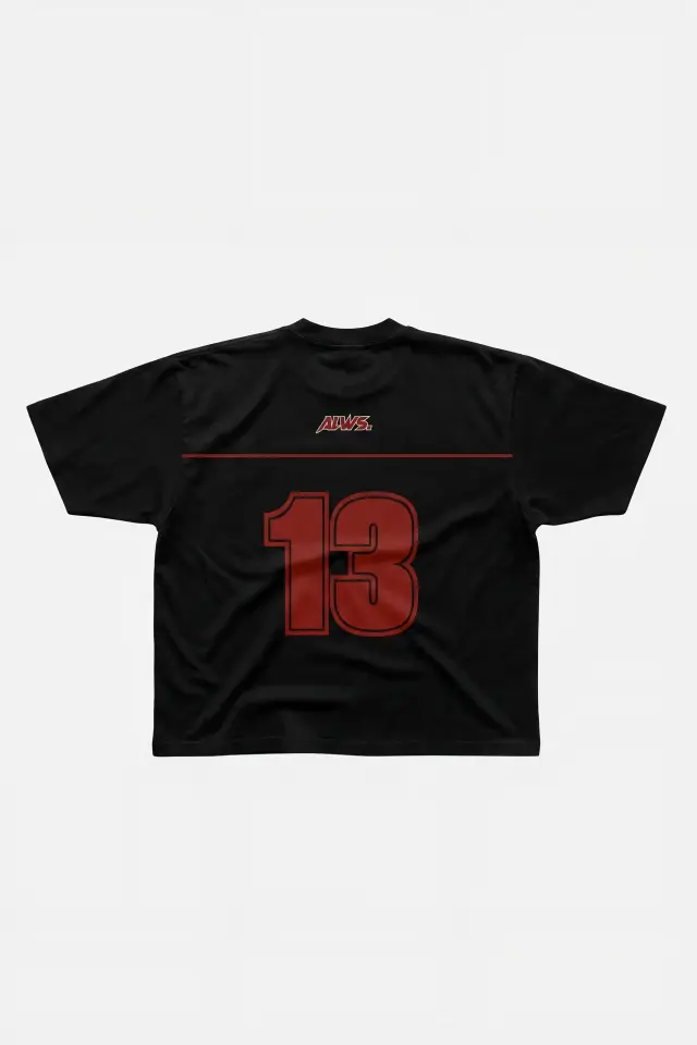 ALWS 13 BASKILI BOXY FIT T-SHIRT