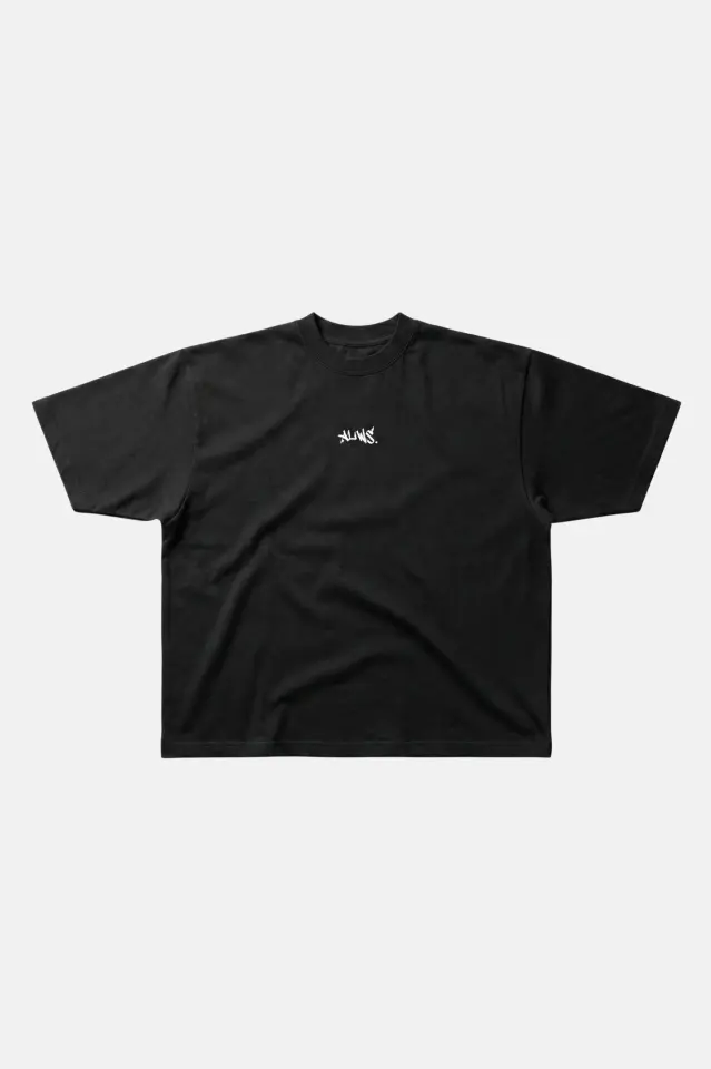 Basic ALWS Baskılı Oversize Tişört